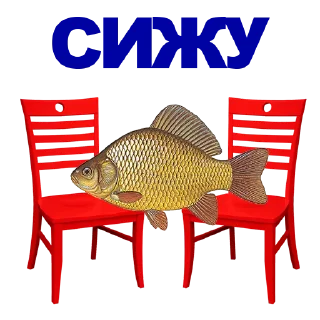 🐠
