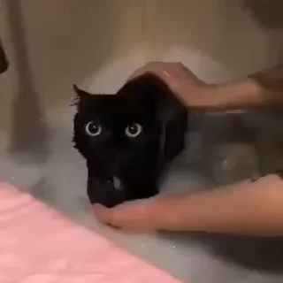 🛁