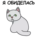 🐱