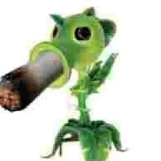 🌿