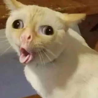 🥴
