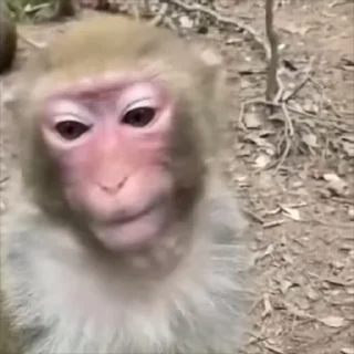 😀