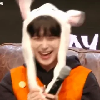 🦊