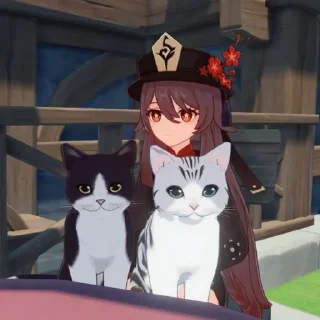 😺