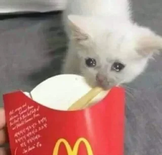 😭