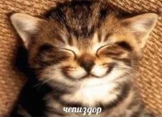 ☺️