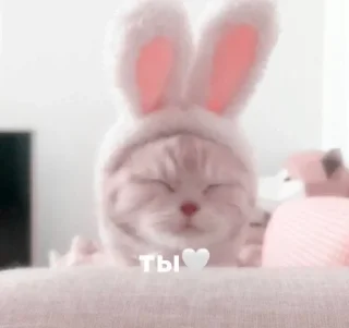 ❤️