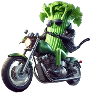 🏍