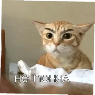 🤨