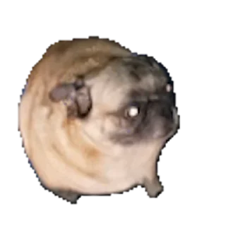🕺