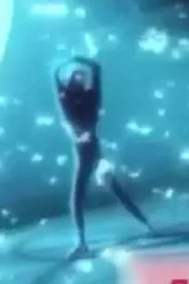 💃