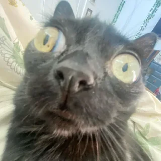 😳