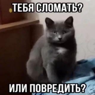 🧐