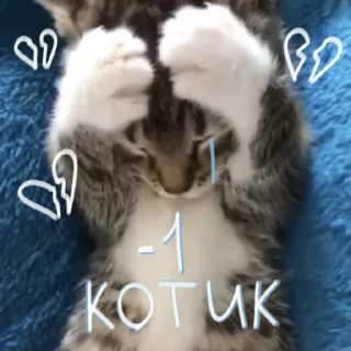 😿