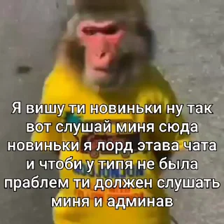 🐵