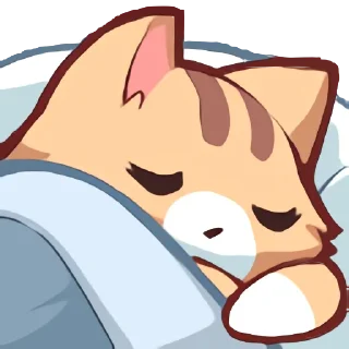 😴