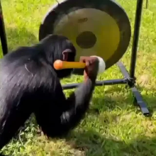 🤩
