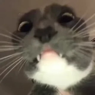 👀