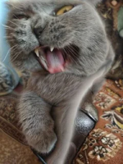 😫
