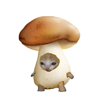 🍄