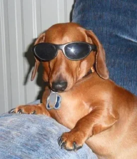 😎