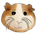 🐹