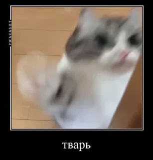 😈