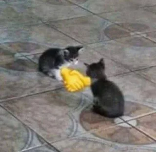 🤝