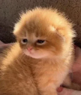 ☹️