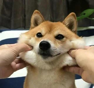 💓