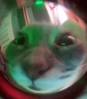 👀