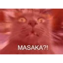 😮