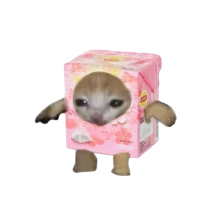 ☕