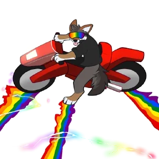 🏳️‍🌈