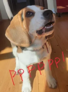😡