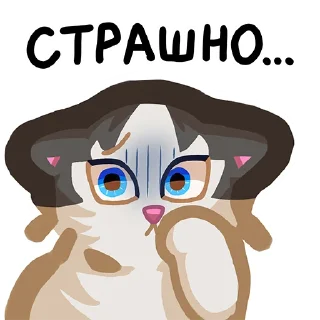 🙀