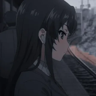 🐰
