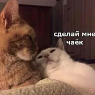 ☕️