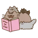 📖
