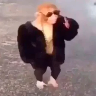 😎