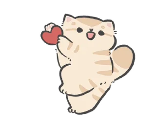 🐱