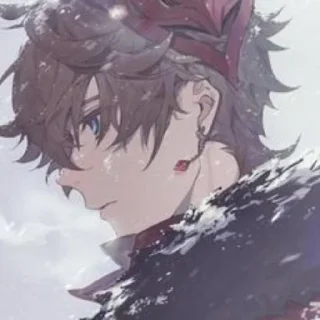 🦊