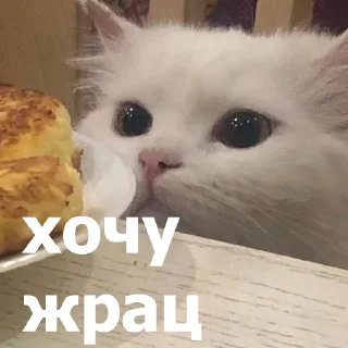 🤤