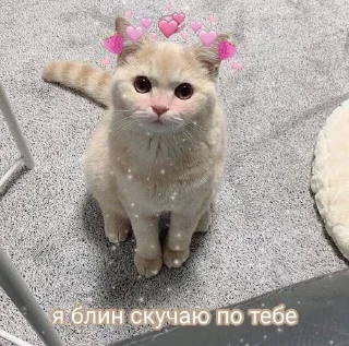❤️