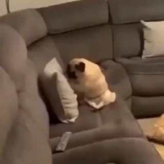 👊
