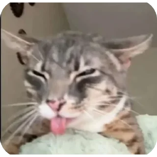 😚