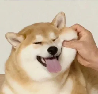 💓