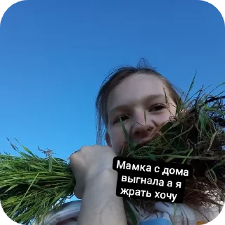 ✋