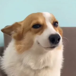 😉