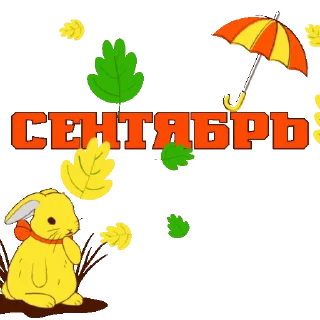 🍁